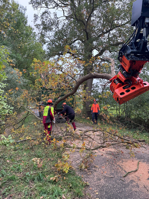 Straßenräumung nach Baumfällung: Greifaggregat hebt Äste von der Fahrbahn, Team in Schutzausrüstung sichert und zerlegt das Holz.