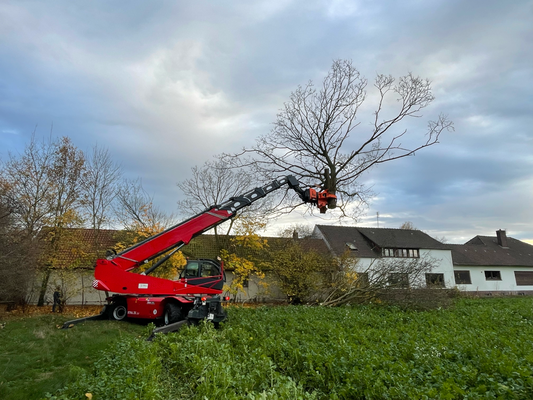 Roter Fällkran hält Baumteile über einer Wiese, dahinter Wohnhäuser – kontrollierte Fällung an Bebauung.