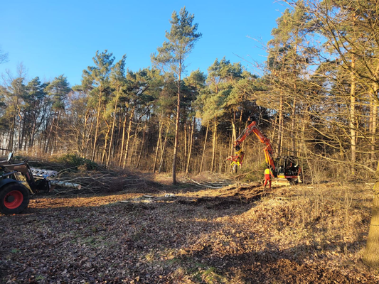 Baufeldvorbereitung mit Rodungsfräse und geebneter Oberfläche.