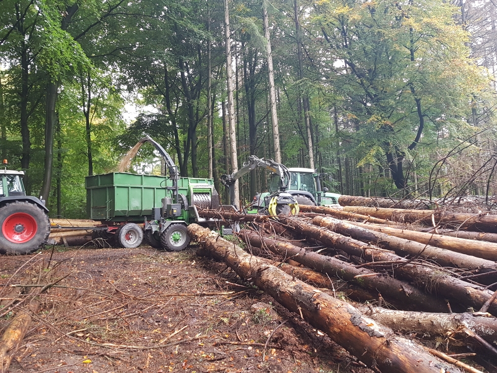 Rodungsfräse bereitet ein Baufeld vor, feiner Materialauftrag nach dem Fräsen.